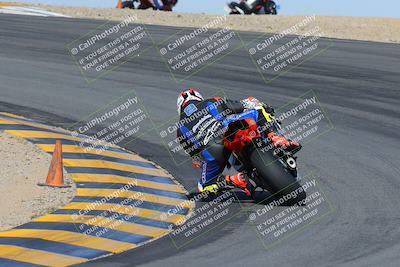 media/Feb-04-2023-SoCal Trackdays (Sat) [[8a776bf2c3]]/Turn 10 Backside (1010am)/